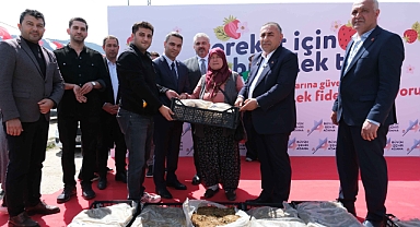 Pozantılı üreticiye 900 bin çilek fidesi daha dağıtıldı 