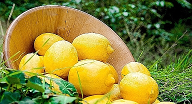 Üreticideki fiyat markette birkaç katına çıktı