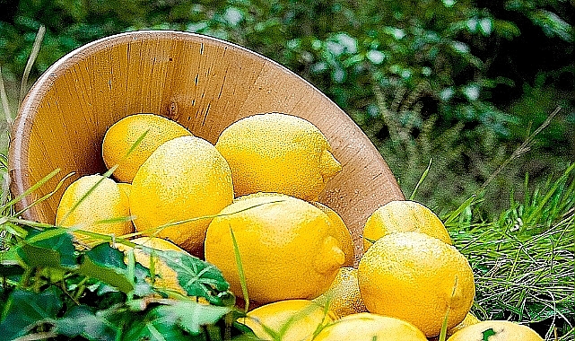 Üreticideki fiyat markette birkaç katına çıktı