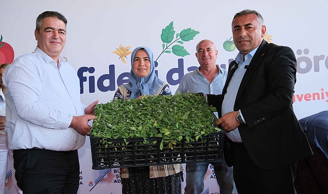 Büyükşehir’den Aladağ üreticisine 400 bin domates fidesi