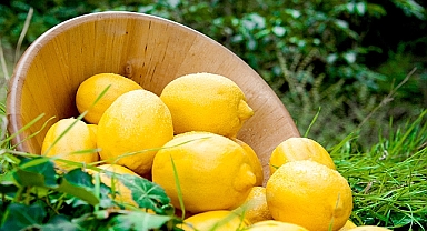 Limon ihracatında miktar azaldı, gelir arttı