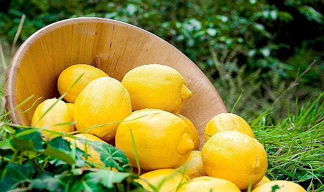 Limon ihracatında miktar azaldı, gelir arttı
