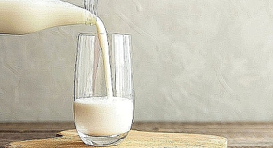 Mayıs ayında bir litre sütün üretim maliyeti 27,31 TL