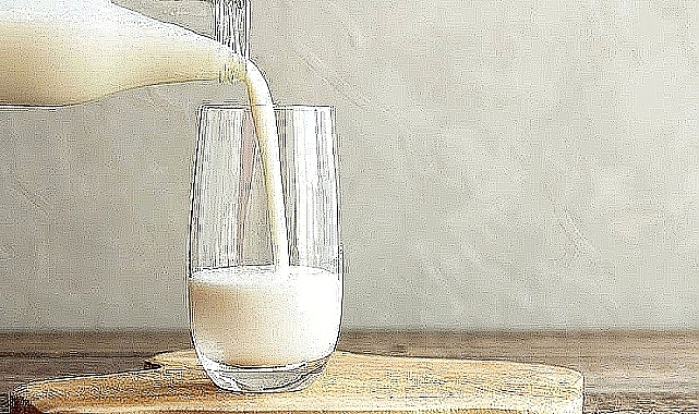 Mayıs ayında bir litre sütün üretim maliyeti 27,31 TL