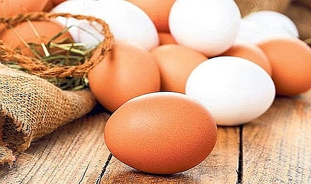Tavuk eti ve yumurta üretiminde Nisan verileri