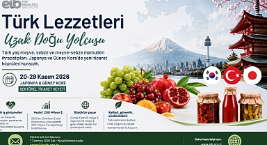 Türk lezzetleri Uzak Doğu yolcusu